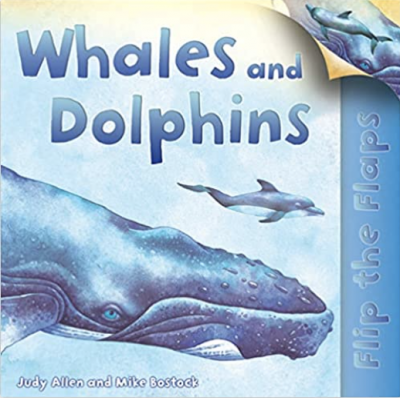 Flip The Flaps: Whales and Dolphins